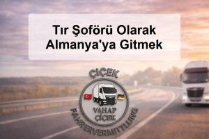 Tır Şoförü Olarak Almanyaya Gitmek-